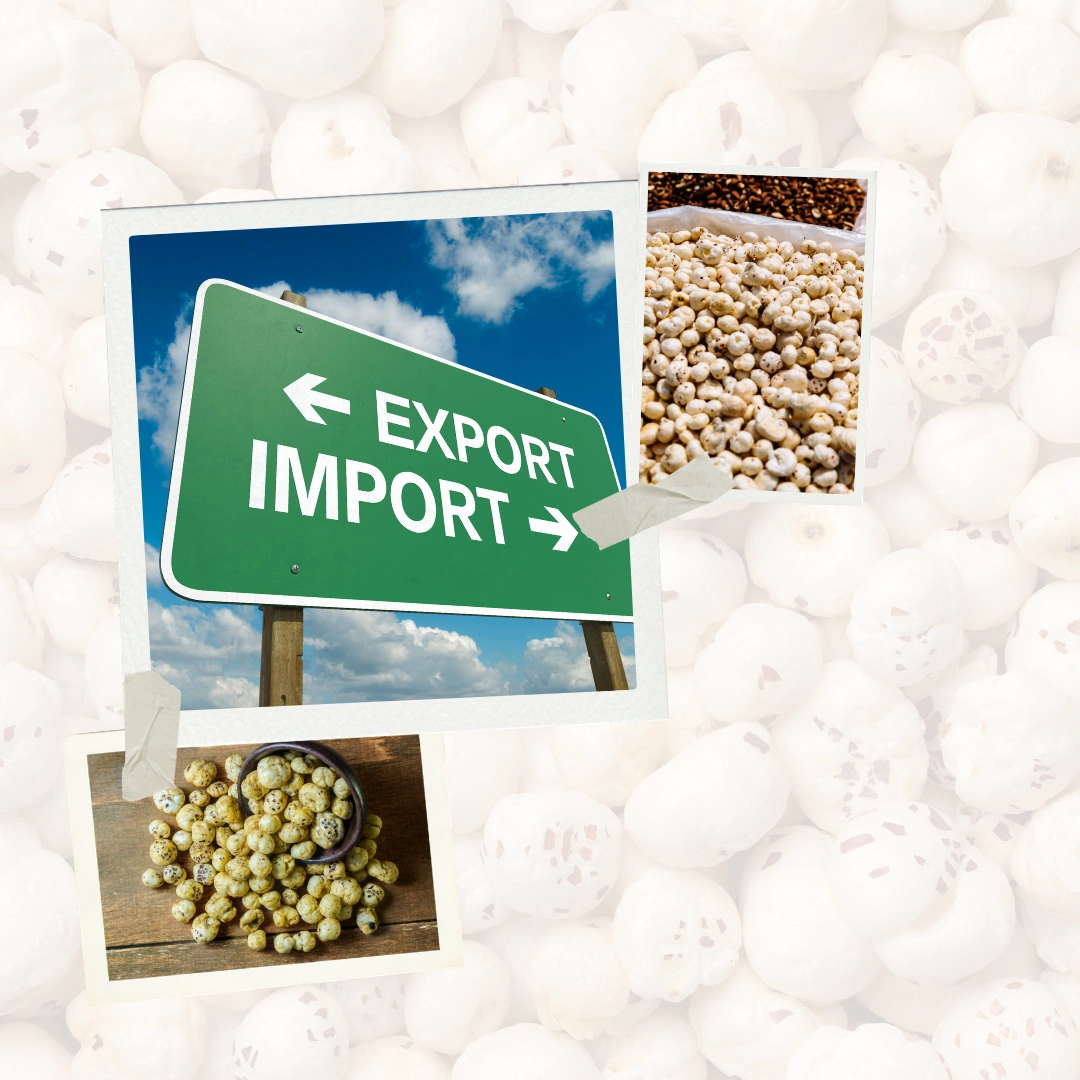 Bharti Global Export